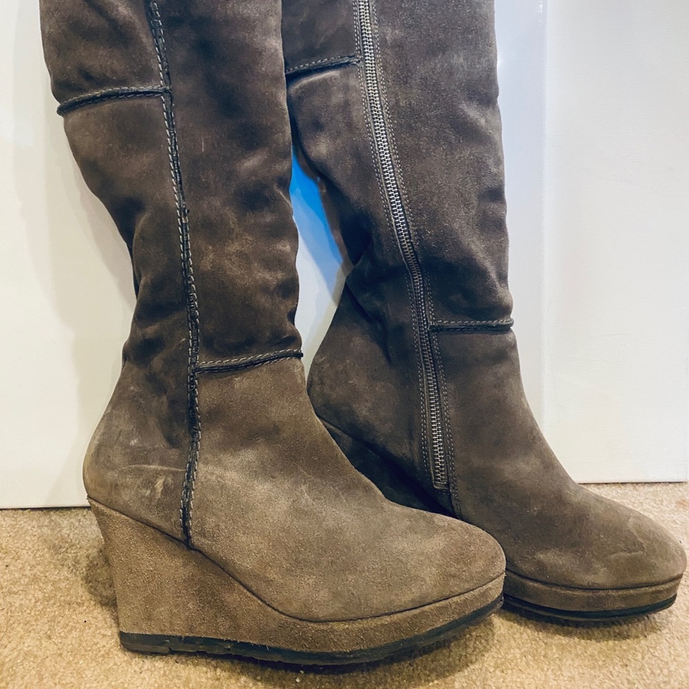 Gray suede wedge boots sherpa lined. Cannot remember the brand